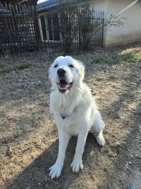 Finn photo 3