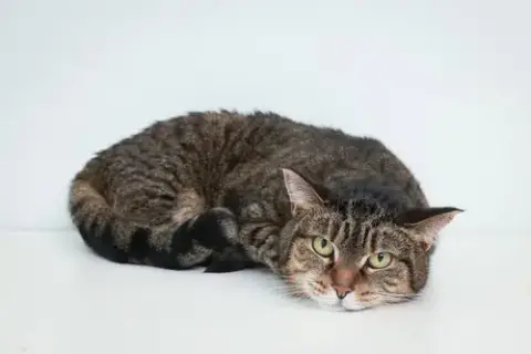 Patience photo 4
