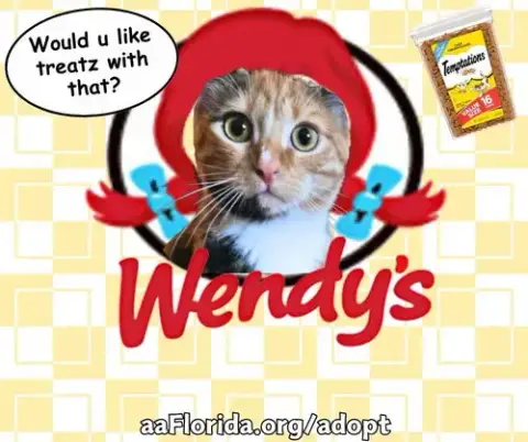 Wendy photo 2