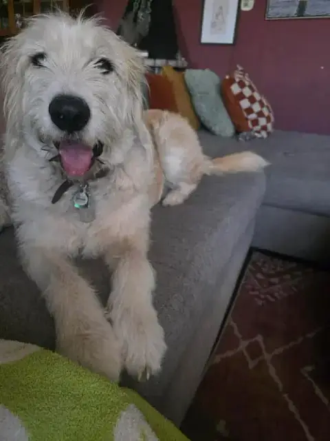 Tobie photo 4