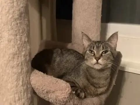 Maggie photo 2