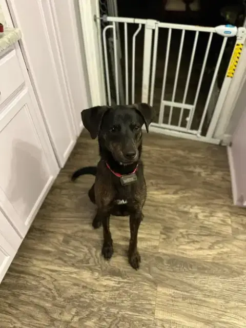 Riley photo 4