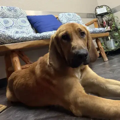 Edgar