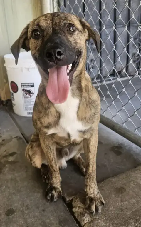 Barnaby photo 2
