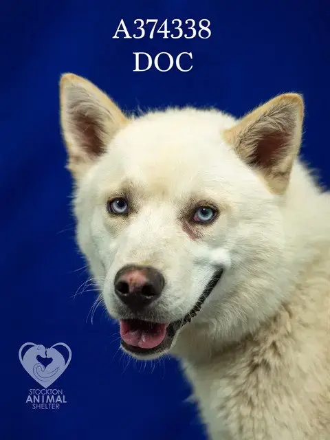Doc