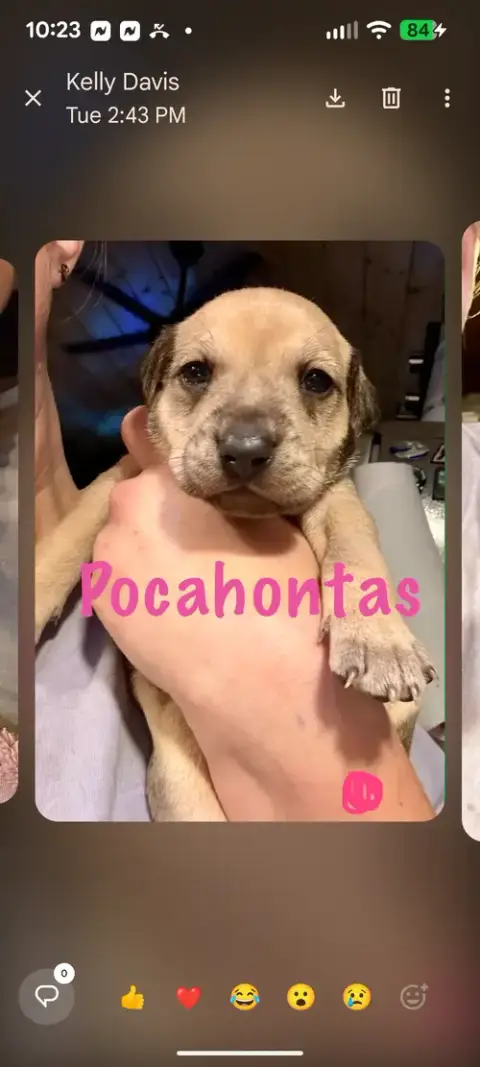 Pocahontas