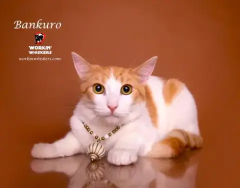 Bankuro