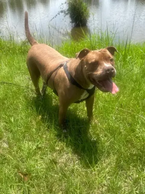 Davey photo 2