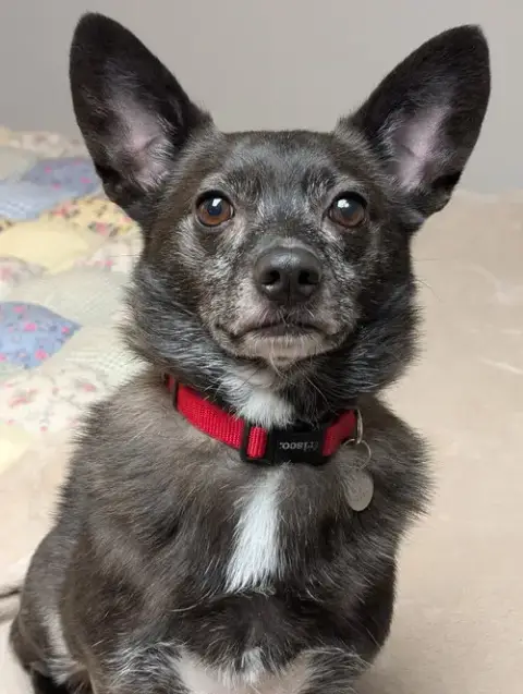 Jake