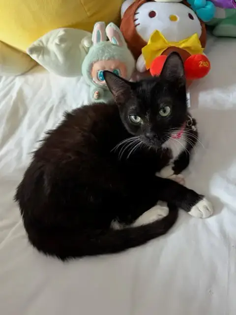 Buddy photo 3