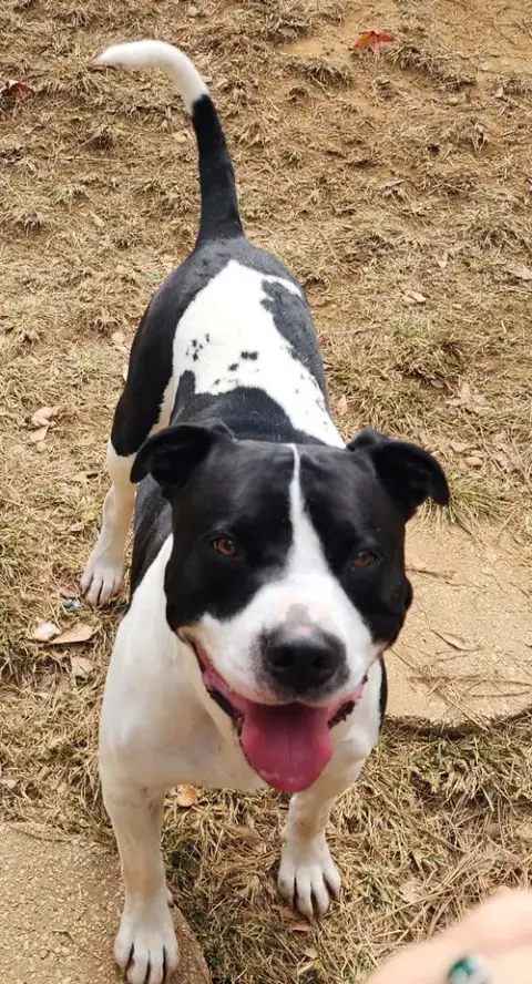 251820  Zeus photo 4