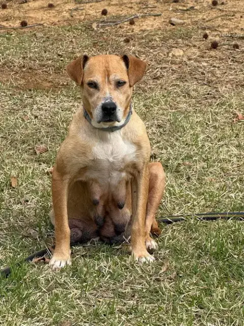 Momma photo 4