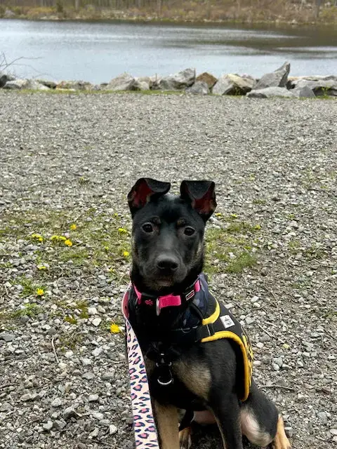 Mya photo 4