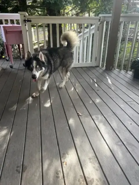 Miles photo 2