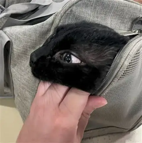 Benny