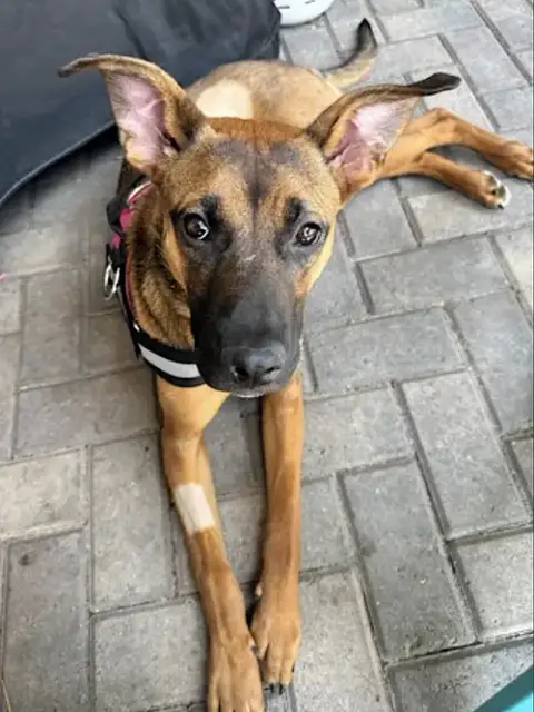 Gigi photo 4