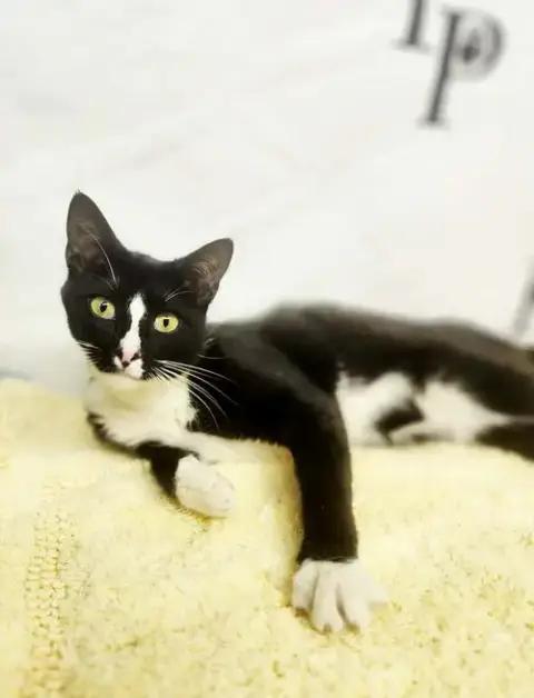 Sam