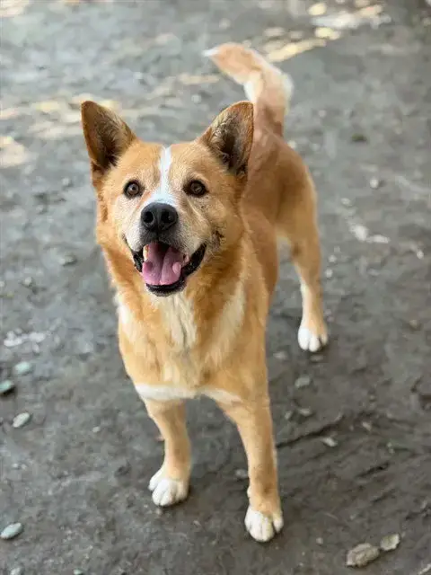 Walter