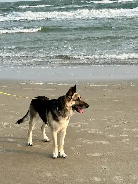 Maggie photo 2