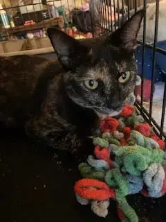Fiona photo 2