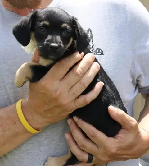 Paco photo 2