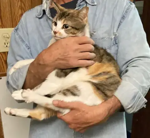 Marla Bonded With Mervin photo 2
