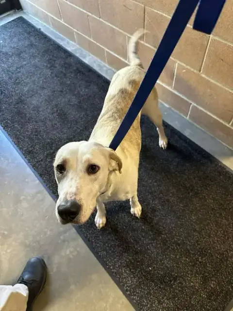 Elsa Louisiana photo 4