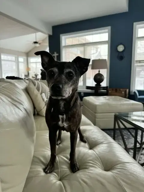 Tina