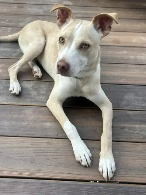 Penelope photo 3