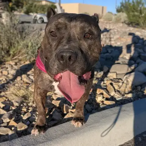 Fiona photo 3