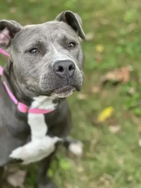 Bella photo 2