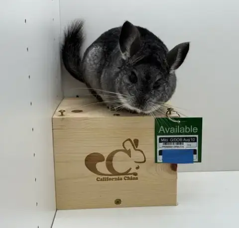 Milo