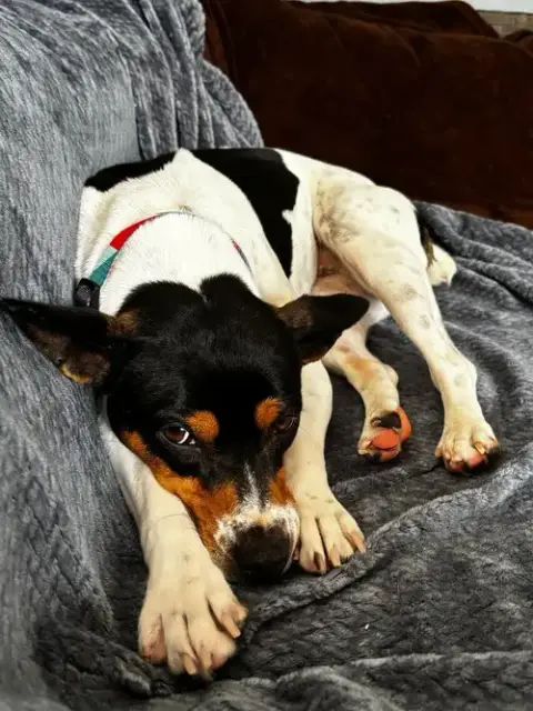 Binky photo 2
