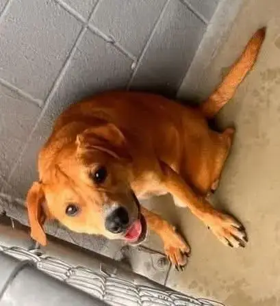 Ernie