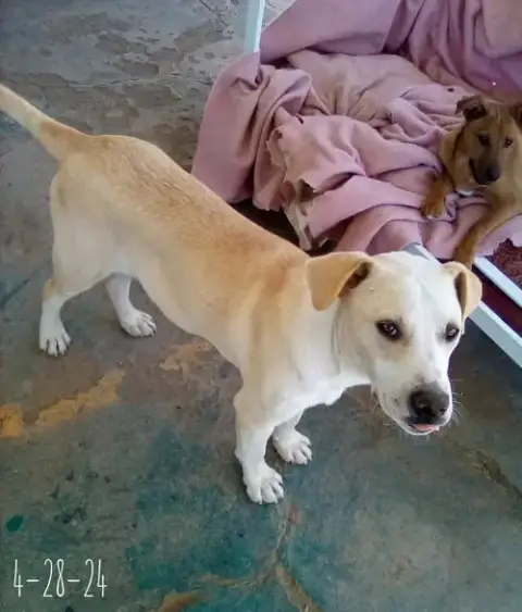 Jingles-His Bff Is Baby Girl photo 5