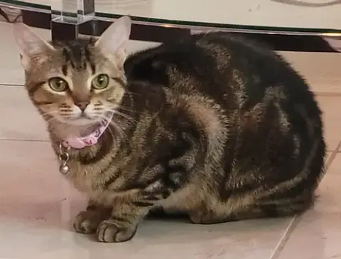 Cleo photo 2