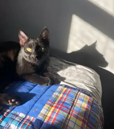 Rita