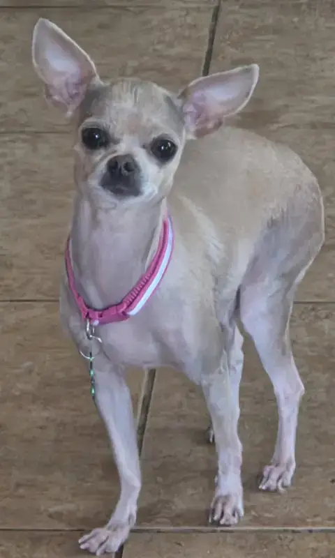 Winnie