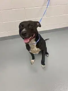 Jax
