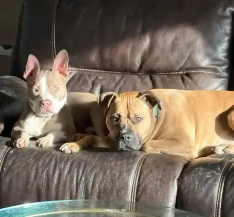 Ears Mcgee photo 3
