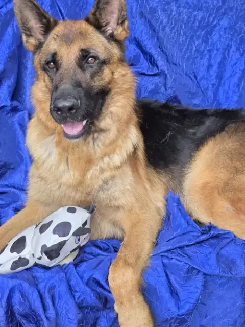 Zeus photo 3