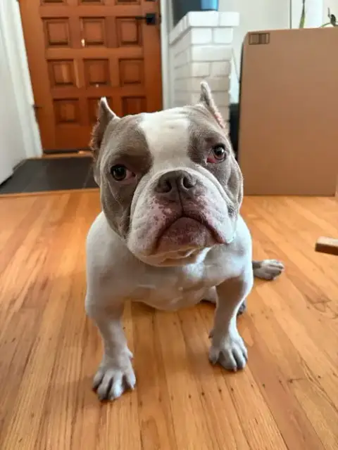Isaac