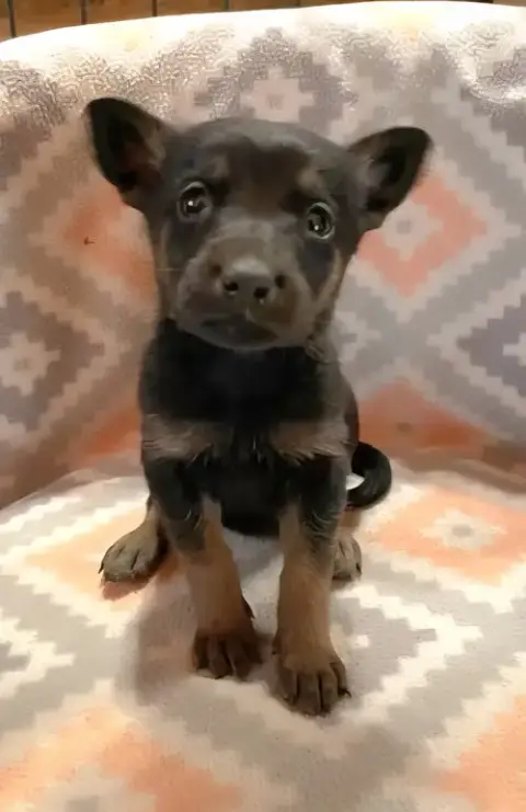 Baby Ruth photo 2
