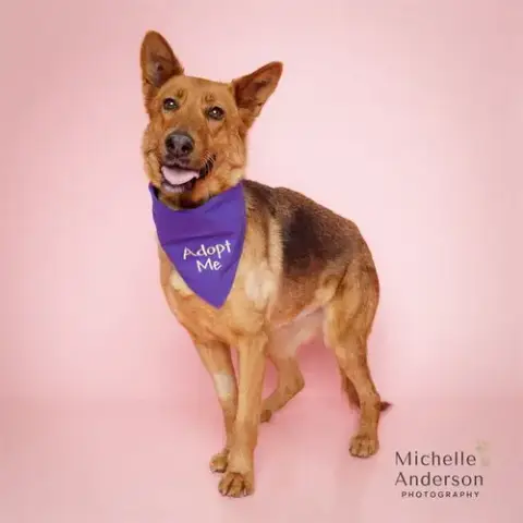 Winnie