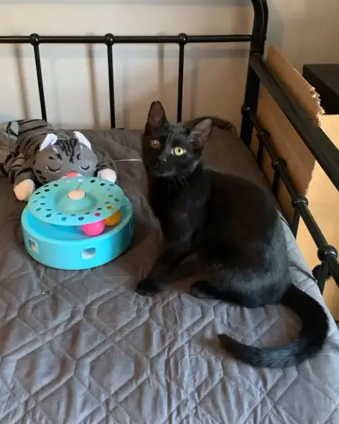 Carter And Tucker photo 5