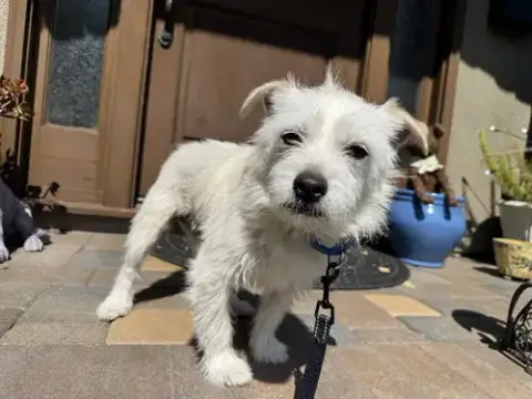 Ernie photo 2