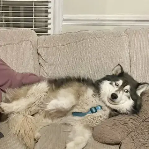 Bella photo 3