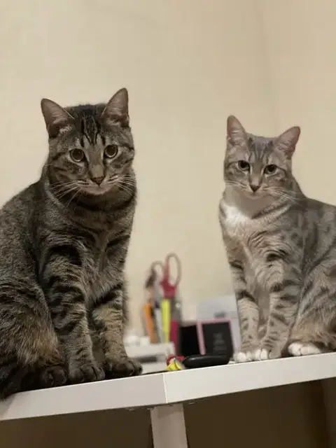 Courtesy Post: Shelby & Marty