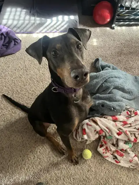 Jax