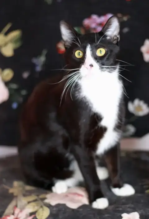 Dusty photo 3
